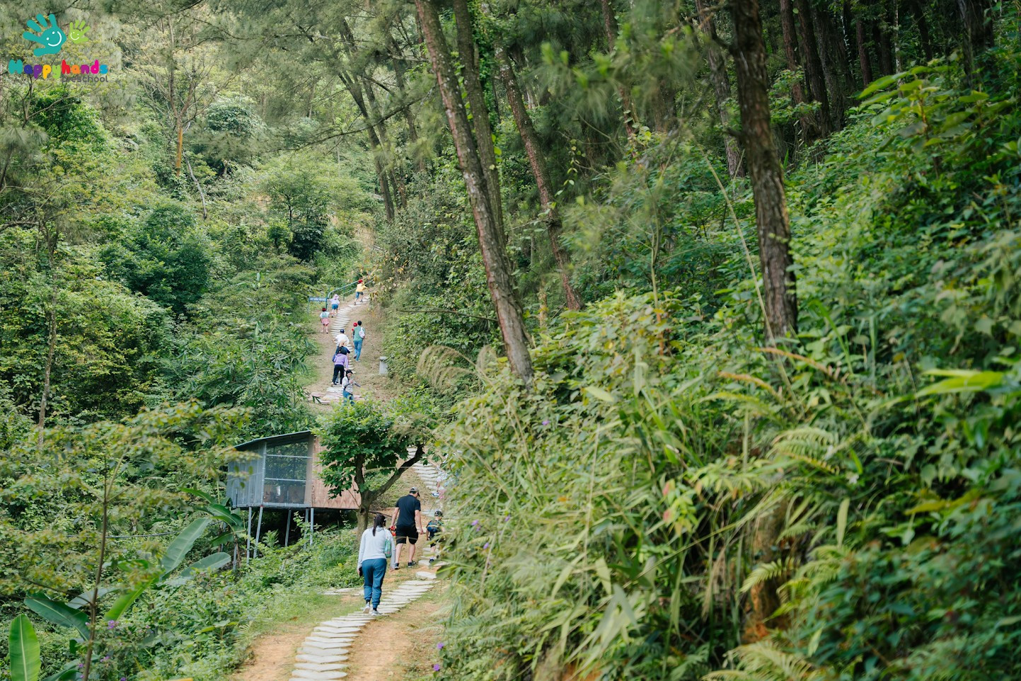 NÚI HỦNG VÀNG – THIÊN ĐƯỜNG HOANG SƠ Ở NGHỆ AN 🌿✨ Bạn đang tìm một điểm đến mới để hòa mình vào thiên nhiên? Núi Hủng Vàng chính là lựa chọn