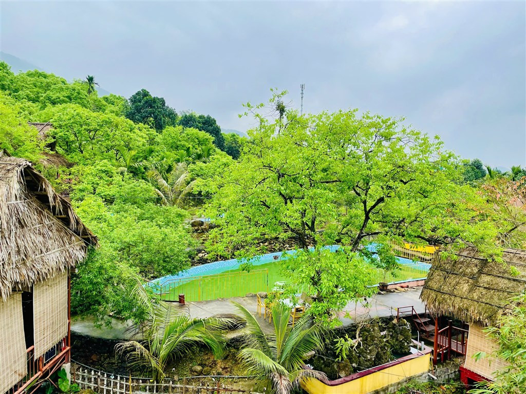 Mùa xuân tai điểm du lịch Thung Pheo Famstay- mùa của Đài lộc cây Hồng đẹp