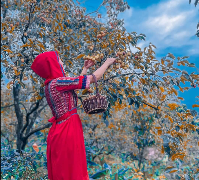 KHU DU LỊCH SINH THÁI THUNG PHEO FARMSTAY