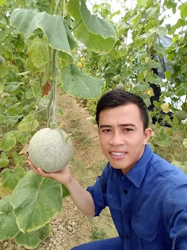 🌿 LẠC VÀO “VƯỜN CỔ TÍCH” GIỮA LÒNG NGHỆ AN: NÔNG TRẠI ANH HIẾU  🌿